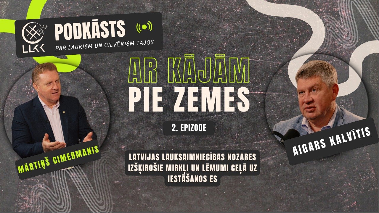 Podkāsts