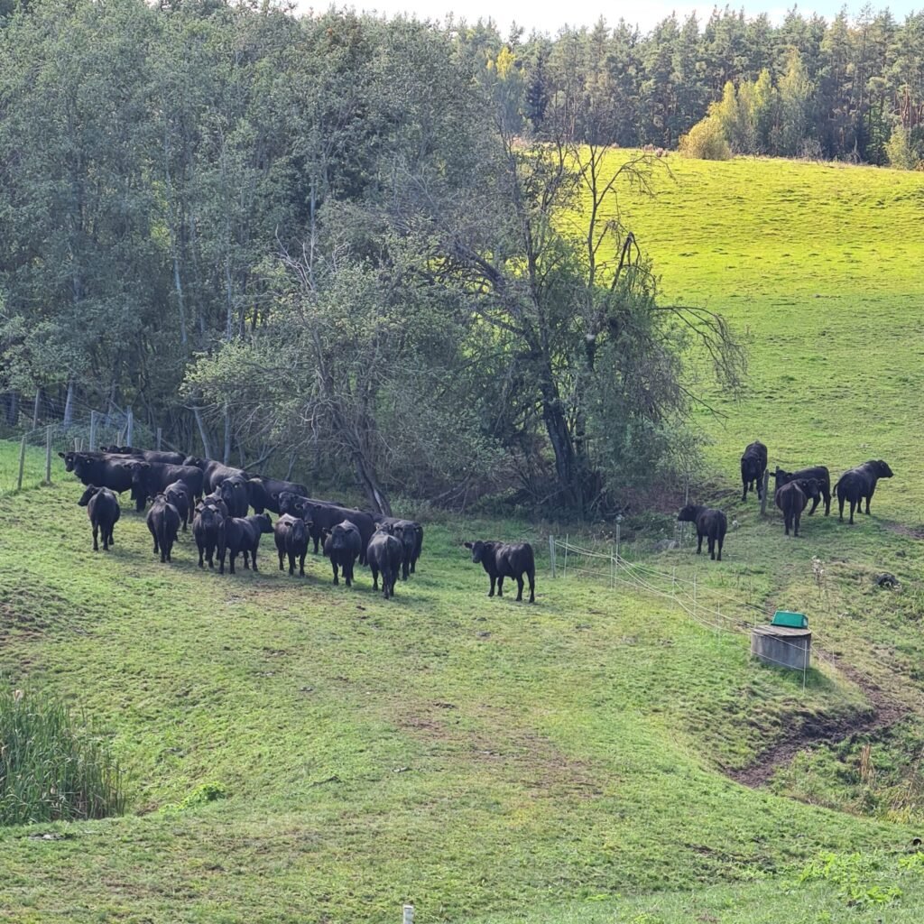 Lauksaimniecības produkcijas pievienotās vērtības radīšana: Lietuvas pieredze