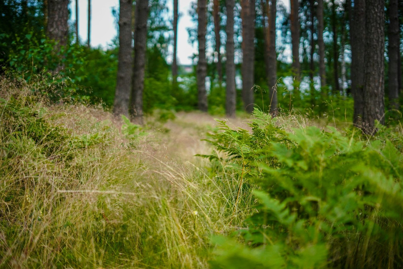 ZIZIMM sektora klimata mērķu sasniegšanai īstenojamo darbību sociāli ekonomiskais vērtējums