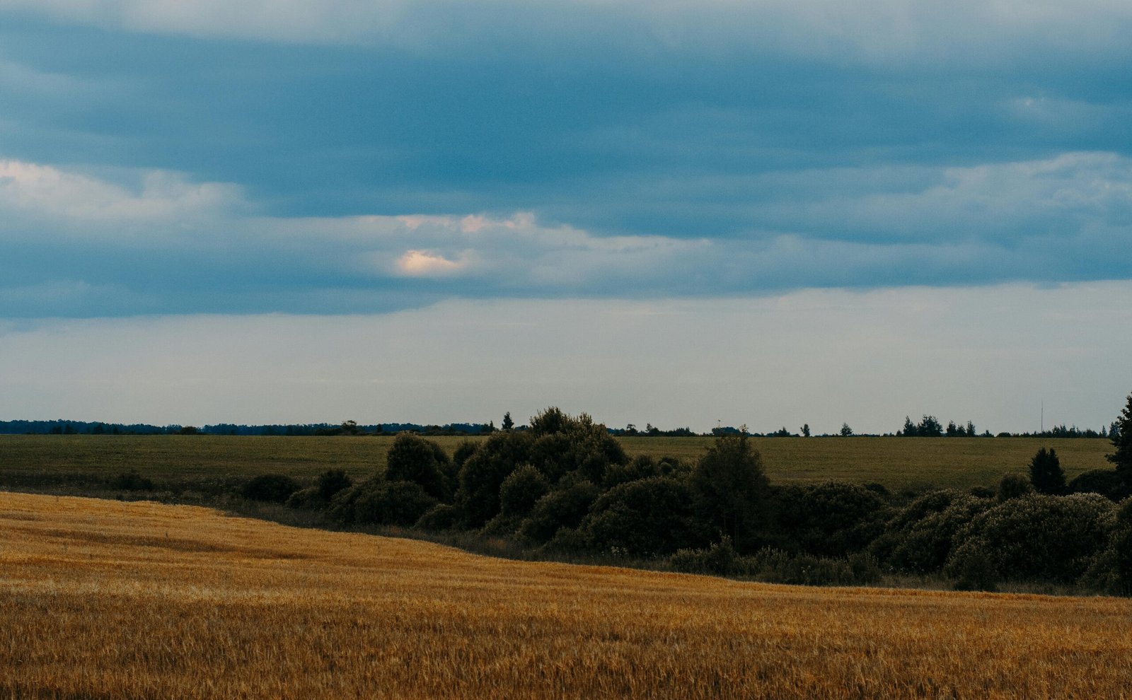 Zinātnisko pētījumu datu bāze